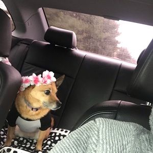 Meet your Posher, Heather